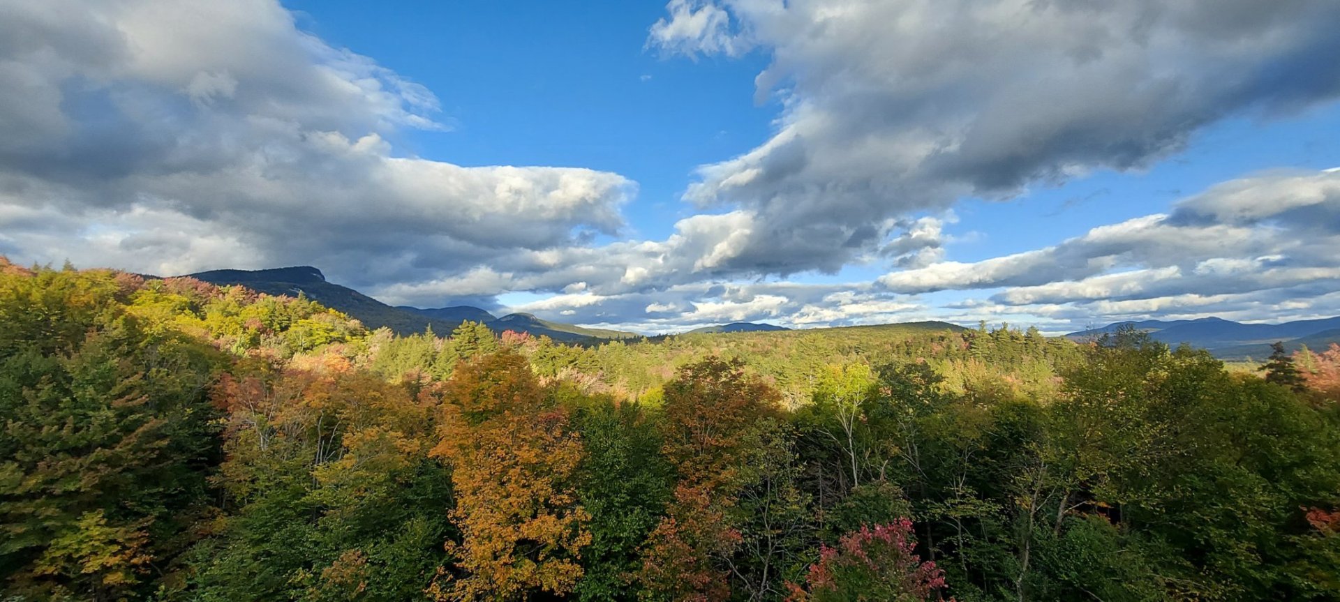 My Journey as a NuGet Gallery Developer and Educator